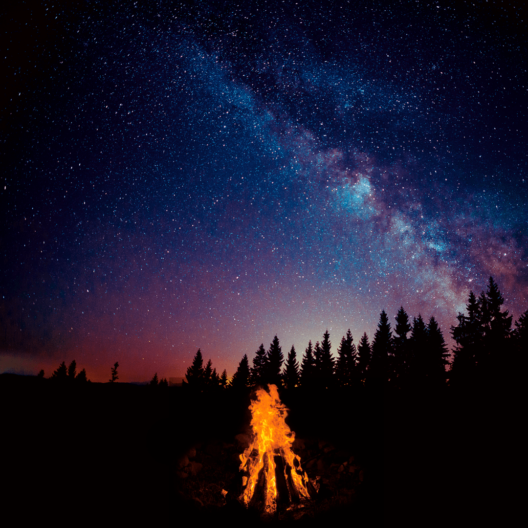 Campfire Song - Physical CD